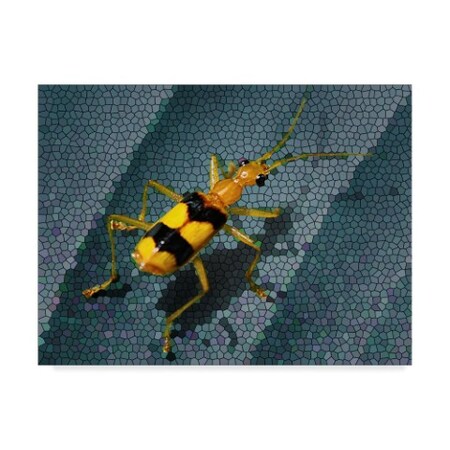Trademark Fine Art Dana Brett Munach 'Yellow Bug' Canvas Art, 35x47 ALI20952-C3547GG